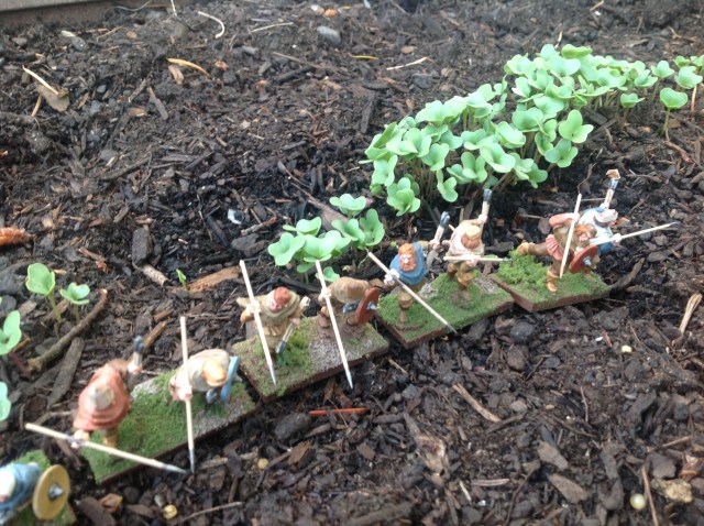 Breton skirmishers advance through Farmer Smyth's vegetable garden.  Not a great angle