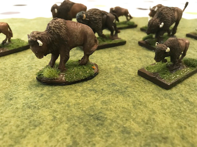 Herd 1