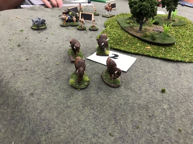 Buffalo Hunt 3